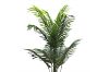 Picture of Artificial Potted Areca Palm Plant - H120cm