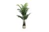 Picture of Artificial Potted Areca Palm Plant - H120cm