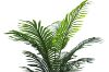 Picture of Artificial Potted Areca Palm Plant - H180cm