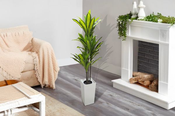 Picture of Artificial Green Upright Brazilian Ironwood Plant - H150cm