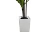 Picture of Artificial Green Upright Brazilian Ironwood Plant - H150cm