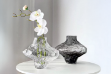 Picture of VALLEY Short/Tall Special-Shaped Glass Vase (Transparent/Grey)