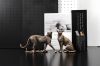 Picture of Standing/Sitting Leopard Statue Decor