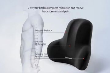 Picture of  Memory Foam Lumbar Support Cushion For Office Chair & Car Seat (Black)