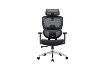 Picture of CODEX Height Adjustable Mesh Office Chair 