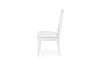 Picture of  [FLOOR MODEL CLEARANCE] ARIZA Dining Chair (White)