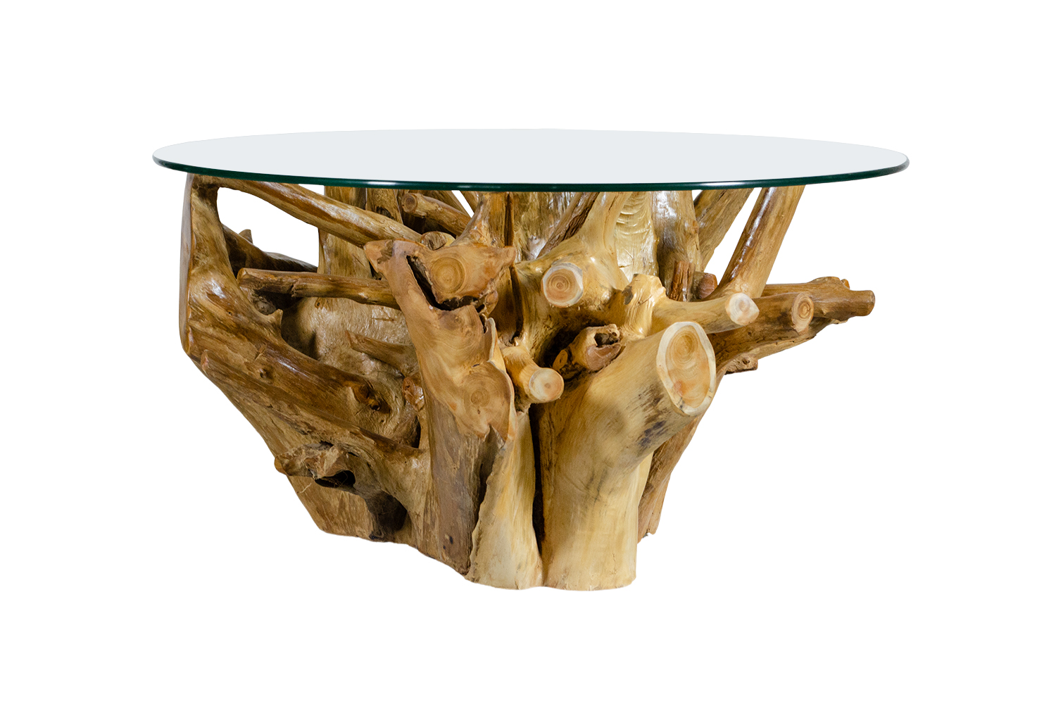 TAKARA D90 Tempered Glass Top Handcrafted Teak Root Coffee Table