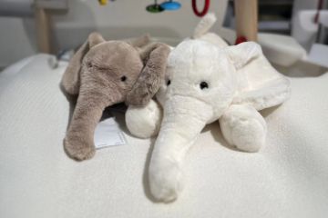 Picture of ELEPHANT H45/H70 Plush Cushion (Off-white/Brown)