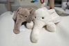 Picture of ELEPHANT Plush Cushion (Brown) - H45