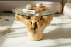 Picture of TAKARA D70 Tempered Glass Top Handcrafted Teak Root Coffee Table