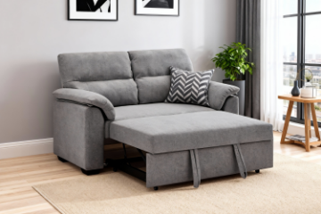 Picture of EIRA 2-Seater Pullout Sofa Bed