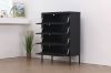 Picture of [FLOOR MODEL CLEARANCE] STARK Steel Frame 4-Door Transparent Glass Shoe Cabinet (Black)