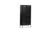 Picture of  [FLOOR MODEL CLEARANCE] STARK Steel Frame 2-Arched Door Accent Glass  Display Cabinet (Black)