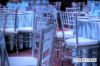 Picture of [FLOOR MODEL CLEARANCE] Clear CHIAVARI Chair *Perfect For Wedding