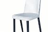 Picture of AINA Dining Chair (Cream White) - 4 Chairs