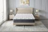 Picture of FLOREA 5-Zone Pocket Spring Euro Top Mattress in Double/Queen/King/Super King Size