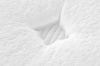 Picture of LAVORA Perfume Fabric Foam Mattress - Queen Size