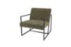 Picture of FERRIS Lounge Chair (Green)