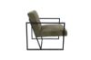 Picture of FERRIS Lounge Chair (Green)