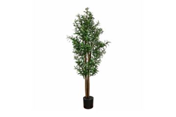 Picture of 353-007 Artificial Green Olive Plant - H185cm