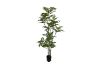 Picture of 353-009 Artificial Green Lacquered Wood Plant - H170cm