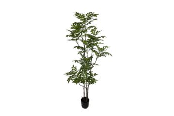 Picture of 353-009 Artificial Green Lacquered Wood Plant - H170cm
