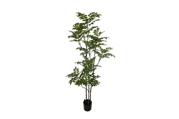 Picture of 353-009 Artificial Green Lacquered Wood Plant - H170cm