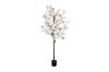 Picture of 353-010 Artificial White Cherry Blossom Tree Plant - H190cm