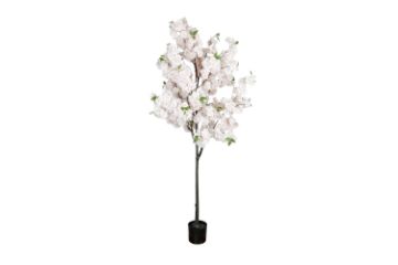 Picture of 353-010 Artificial White Cherry Blossom Tree Plant - H190cm