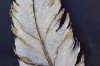 Picture of 357-013 Decorative Wall Art with Golden Frame (40x60cm) - White Feather