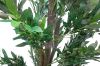 Picture of 353-007 Artificial Green Olive Plant - H185cm