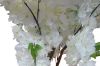 Picture of 353-010 Artificial White Cherry Blossom Tree Plant - H190cm