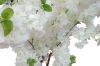 Picture of 353-010 Artificial White Cherry Blossom Tree Plant - H190cm