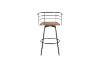 Picture of  [FLOOR MODEL CLEARANCE] DANEL Bar Chair
