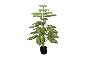 Picture of 353-018 Artificial Green Pothos Plant - H100cm