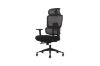 Picture of FLEXO Height Adjustable Mesh Office Chair with Lumbar Support (Dark)