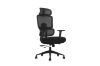 Picture of FLEXO Height Adjustable Mesh Office Chair with Lumbar Support (Dark)