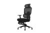 Picture of FLEXO Height Adjustable Mesh Office Chair with Lumbar Support (Dark)