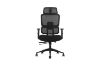 Picture of FLEXO Height Adjustable Mesh Office Chair (Dark)
