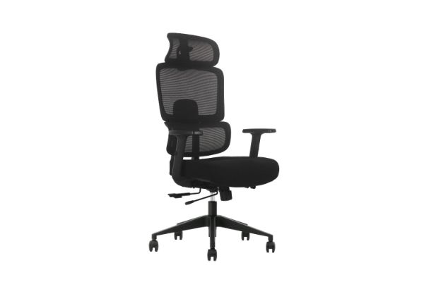 Picture of FLEXO Height Adjustable Mesh Office Chair (Dark)