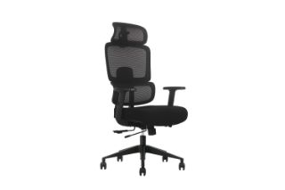 Picture of FLEXO Height Adjustable Mesh Office Chair with Lumbar Support (Dark)