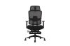 Picture of FLEXO Height Adjustable Mesh Office Chair with Footrest (Dark)
