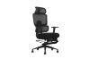 Picture of FLEXO Height Adjustable Office Chair with Footrest (Dark)