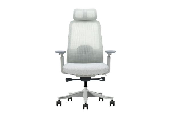 Picture of VEYRA Premium High Back Office Chair with Honeycomb Seat Cushion & Adjustable Headrest, Backrest & Lumbar Support, 3D Armrests and Seat Slider  