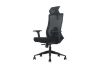Picture of MAVEN High Back Office Chair with Adjustable Headrest, Backrest & Lumbar Support & 3D Armrests