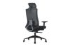 Picture of MAVEN High Back Office Chair with Adjustable Headrest, Backrest & Lumbar Support & 3D Armrest