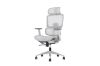 Picture of FLEXO Height Adjustable Mesh Seat Office Chair with Lumbar Support (Grey)
