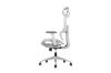 Picture of FLEXO Height Adjustable Mesh Seat Office Chair with Lumbar Support (Grey)