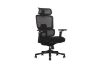 Picture of FLEXO Pro Height Adjustable Mesh Office Chair with 5D Armrests, Lumbar Support (Dark)