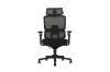 Picture of FLEXO Pro Height Adjustable Mesh Office Chair with Adjustable Headrest & Backrest, 5D Armrest and Seat Slider (Dark)